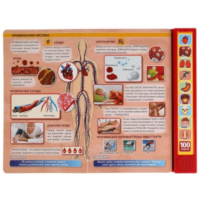 Энциклопедия Моё тело 100 звуков Умка 9785506040323 2