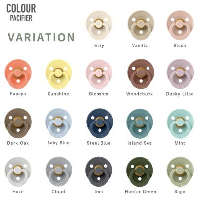 Соска-пустышка  Colour Dark Oak 6-18 месяцев Bibs 200243-4