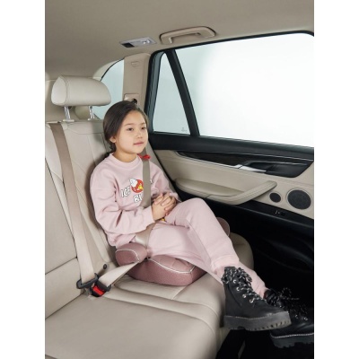 Бустер Happy Baby Rider desert pink 04