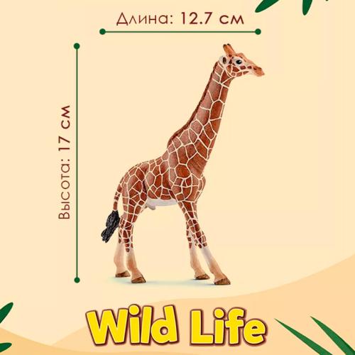 Фигурка Жираф самец 17 см Schleich 14749 фото 2