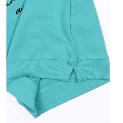 Спортивный костюм демисезонный DMB 9472 33