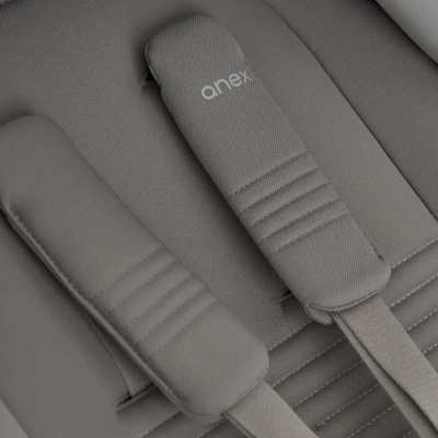 Коляска 2 в 1 Anex Eli (el-06) Santal