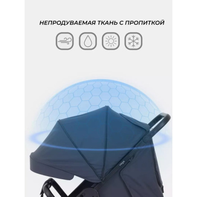 Коляска прогулочная Rant Basic Vega RA105 Graphite 03
