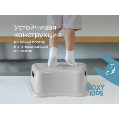 Ступенька-подставка Roxy-Kids RPD-012G/BP серый 04