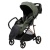 Прогулочная коляска Peppy Amici Green рама Gold (LX)