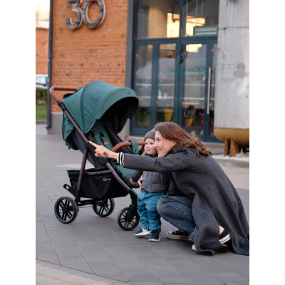 Коляска прогулочная Rant Vega RA057 Green 04