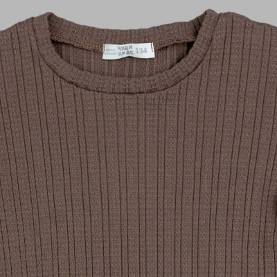 Лонгслив Чуди Кидс 503225Ц2-2 коричневый 02