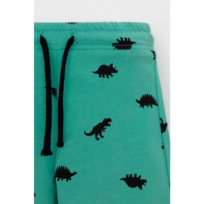 Шорты для мальчика Crockid КР 400666 малахитово зеленый дино к558 3