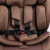 Автокресло Peppy Solo I-Size Y-D05 Brown