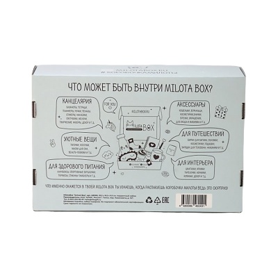 Подарочный набор MilotaBox School Box iLikeGift MB100