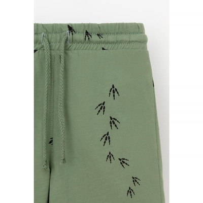 Шорты для мальчика Crockid КР 400666 папоротник следы динозавра к538 3