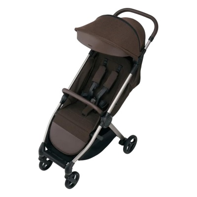 Коляска 2 в 1 Anex iQ Premium (iQ-08-NT) Teddy 05