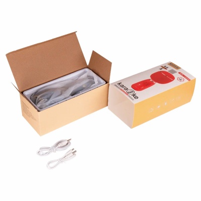 Микрофон Караоке с колонкой WS1885 4