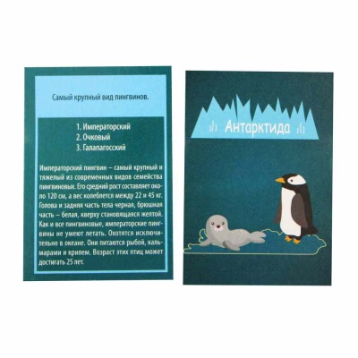 Игра настольная Викторина Мир Десятое Королевство 02942