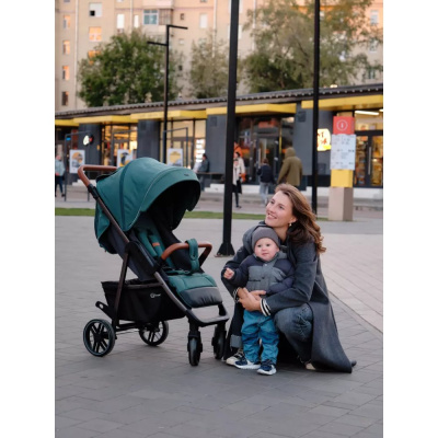 Коляска прогулочная Rant Vega RA057 Green 05