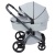 Коляска 2 в 1 Anex l/type (lt-10t) Frost с аксессуарами