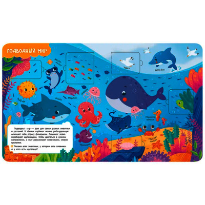 Книжка Животные Книги с окошками Росмэн 40873 3