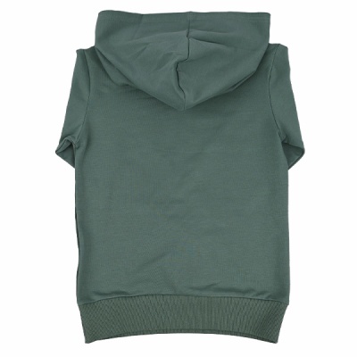 Свитшот демисезонный для мальчиков Seabird Sr A012