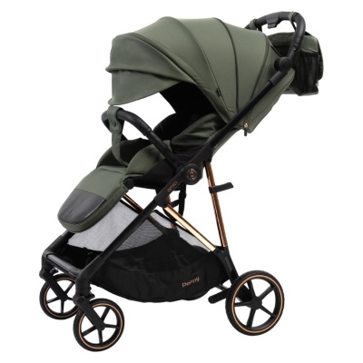 Прогулочная коляска Peppy Amici Green рама Gold (LX) 02
