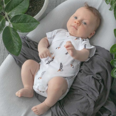 Боди с коротким рукавом Крошки Горошки KiDi 319.315.307.2-1