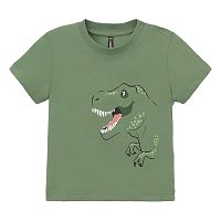 Футболка для мальчика Crockid КР 302700 папоротник к538