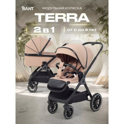 Коляска 2 в 1 Rant basic Terra RA163 Beige 02