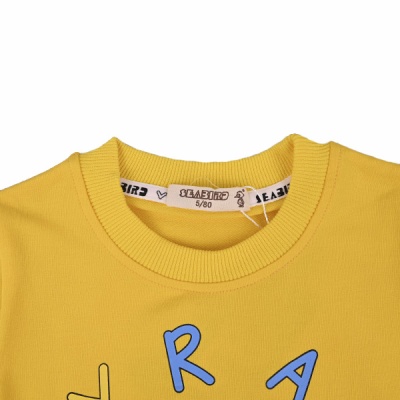 Свитшот демисезонный для мальчика Seabird Sr A004