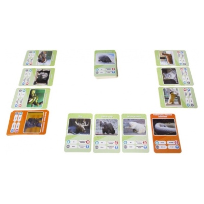 Настольная игра Это факт! Зоопарк Gaga Games 66066