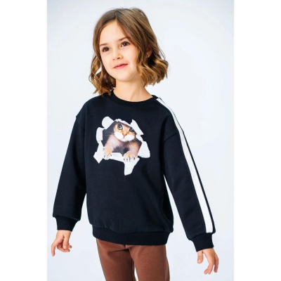 Свитшот Deloras 19744 чёрный 02