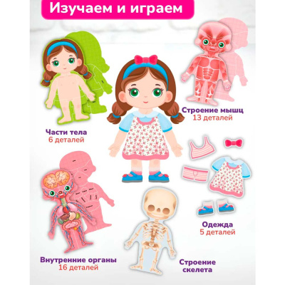 Пазлы 3D обучающие для детей Анатомия девочки On Time 45210 3