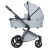 Коляска 2 в 1 Anex l/type (lt-10t) Frost с аксессуарами