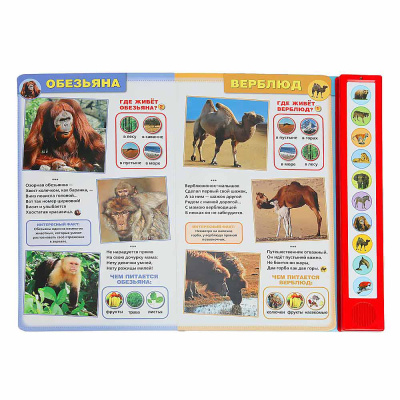 Книга интерактивная озвученная Дикие животные Умка 9785506072348 (24) 2