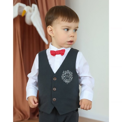 Костюм жилет брюки рубашка для мальчика Little star 166243 графит белый 3