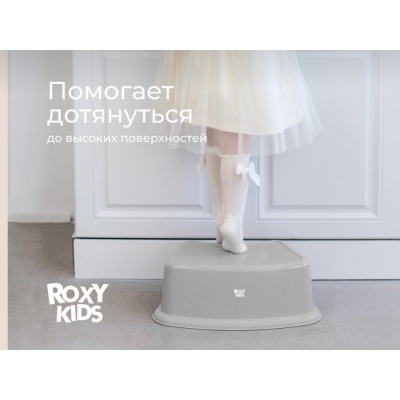 Ступенька-подставка Roxy-Kids RPD-012G/BP серый 05