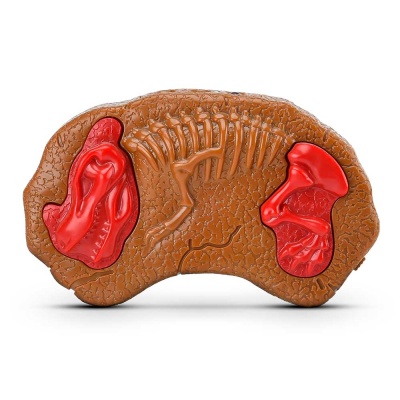 Игрушка на радиоуправлении Динозавр Мегалозавр Mioshi MAC1211-001