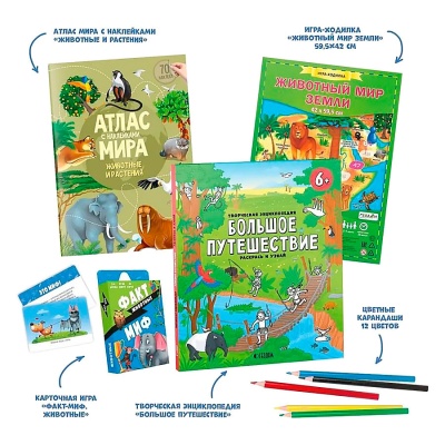 Игровой набор Полезный подарок Большое путешествие Мир животных Геодом