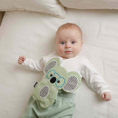 Игрушка с вишневыми косточками Разогрелка Коала Лумпур Мякиши 789