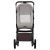 Детская прогулочная коляска Anex Ride (RD-01) Chrome