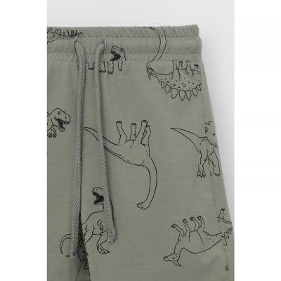 Шорты для мальчика Crockid КР 400666 зеленый чай динозавры к552 3