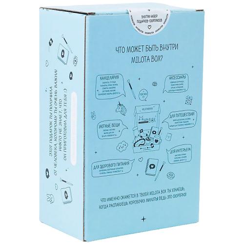 Подарочный набор MilotaBox mini School Box iLikeGift MBS019 фото 2