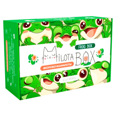 Подарочный набор MilotaBox Frog Box iLikeGift MB141 2