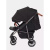 Коляска прогулочная Rant Vega RA057 Black