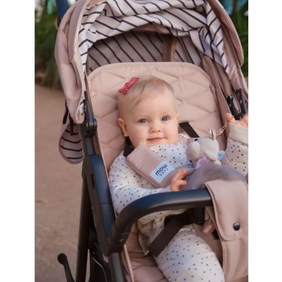 Прогулочная коляска Ride RA082 Mowbaby 1