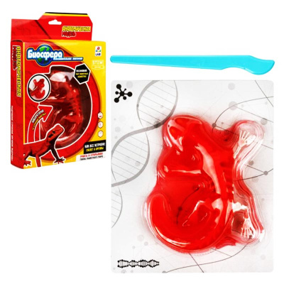 Игровой набор LAB БИОсфера Ящерица 1toy Т26724 2