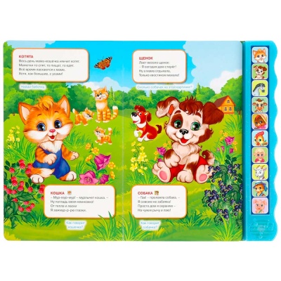 Музыкальная книга М. Дружинина Домашние животные Умка 318134