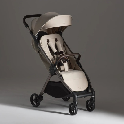 Коляска 2 в 1 Anex iQ Premium (iQ-27) Soya