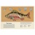 Энциклопедия Анималиум Махаон 50207649