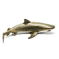 Фигурка Тигровая акула Collecta 88661b