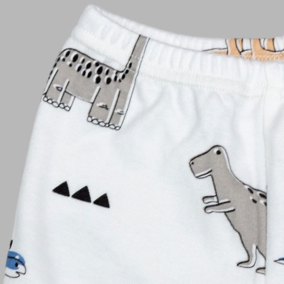 Шорты Дино Чуди Кидс 360125-2К белый 02