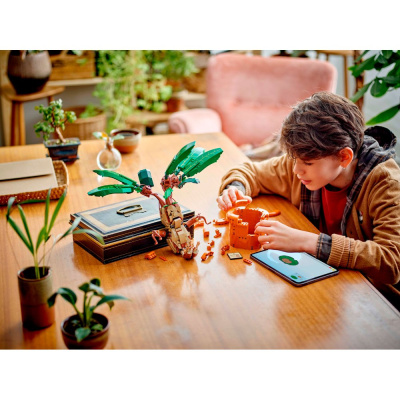 Конструктор Lego Harry Potter 76433 Мандрагора 04